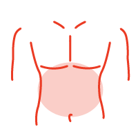 icons stomach male